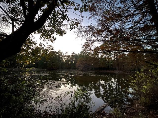 Geocache find photo 1